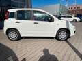 Fiat Panda 1.0 Hybrid Blanc - thumbnail 11