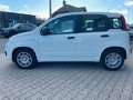 Fiat Panda 1.0 Hybrid Blanc - thumbnail 5