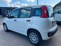 Fiat Panda 1.0 Hybrid Blanc - thumbnail 6