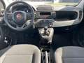 Fiat Panda 1.0 Hybrid Blanc - thumbnail 19