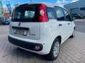 Fiat Panda 1.0 Hybrid Blanc - thumbnail 9