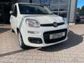 Fiat Panda 1.0 Hybrid Blanc - thumbnail 1