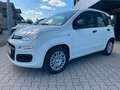 Fiat Panda 1.0 Hybrid Blanc - thumbnail 4