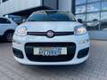 Fiat Panda 1.0 Hybrid Blanc - thumbnail 2