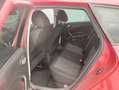SEAT Ibiza ST 1.6 TDI 105cv Style Roşu - thumbnail 9