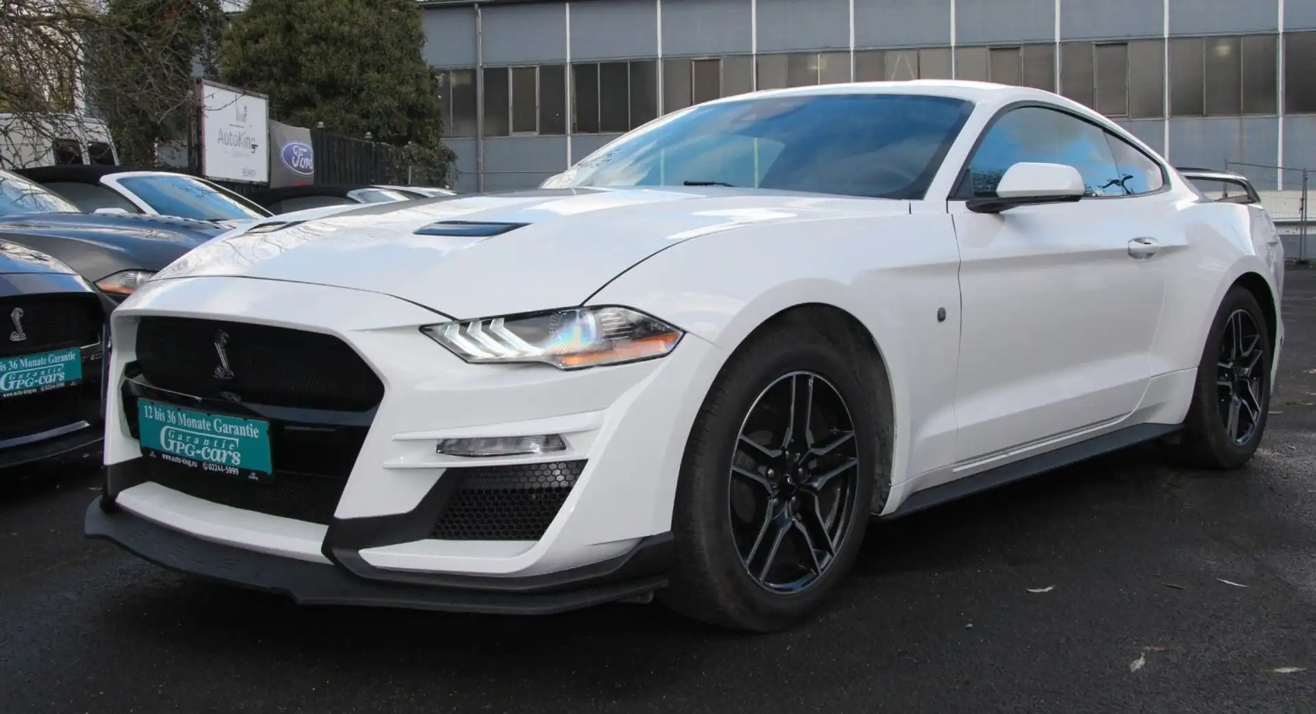 Ford Mustang 2.3 Shelby|Spurassistent|LED|6-Gang White - 1