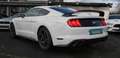 Ford Mustang 2.3 Shelby|Spurassistent|LED|6-Gang Bílá - thumbnail 4