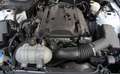 Ford Mustang 2.3 Shelby|Spurassistent|LED|6-Gang Alb - thumbnail 19