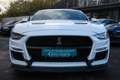 Ford Mustang 2.3 Shelby|Spurassistent|LED|6-Gang Fehér - thumbnail 10