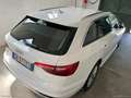 Audi A4 Avant 35 TDI S TRONIC Business ADVANCE EVOLUTION Blanc - thumbnail 21