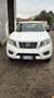 Nissan Navara k.cab 2.5 dci Sport 174cv - thumbnail 5