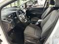 Ford C-Max C-MAX Titanium Blanc - thumbnail 10
