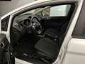 Ford Fiesta Fiesta 1.5 TDCi 75CV 5 porte Black & White Edition Alb - thumbnail 8