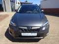 Subaru XV 2.0ie Active *2.Hd*AHK*MwSt* Gris - thumbnail 7