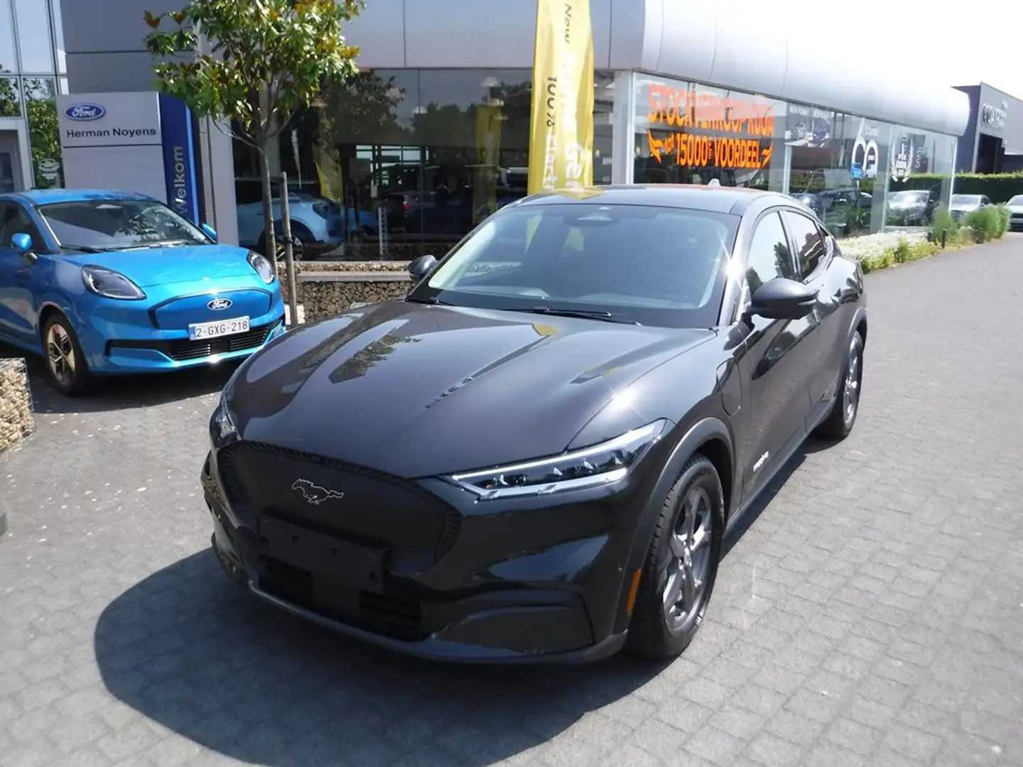 Ford Mustang Mach-E Grau - 2