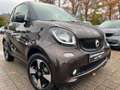 smart forTwo *PERFECT*PANORAMA*NAVI*SITZHEIZUNG Braun - thumbnail 34