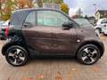 smart forTwo *PERFECT*PANORAMA*NAVI*SITZHEIZUNG Braun - thumbnail 29