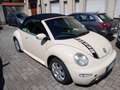 Volkswagen New Beetle Cabrio 1.9 tdi 100cv Beige - thumbnail 14