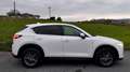Mazda CX-5 2.2 Skyactiv-D Evolution 2WD 110Kw Blanco - thumbnail 5