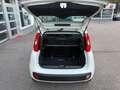 Fiat Panda Easy 1,2 69PS Weiß - thumbnail 9