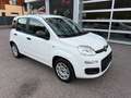 Fiat Panda Easy 1,2 69PS Weiß - thumbnail 5