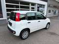 Fiat Panda Easy 1,2 69PS Weiß - thumbnail 6