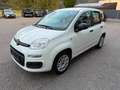 Fiat Panda Easy 1,2 69PS Weiß - thumbnail 11