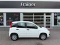 Fiat Panda Easy 1,2 69PS Weiß - thumbnail 1