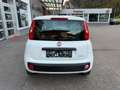 Fiat Panda Easy 1,2 69PS Weiß - thumbnail 8