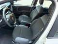 Fiat Panda Easy 1,2 69PS Weiß - thumbnail 12