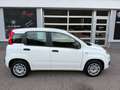 Fiat Panda Easy 1,2 69PS Weiß - thumbnail 2