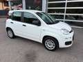 Fiat Panda Easy 1,2 69PS Weiß - thumbnail 4