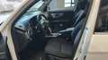 Mercedes-Benz GLK 220 GLK - X204 cdi Sport auto Blanc - thumbnail 10