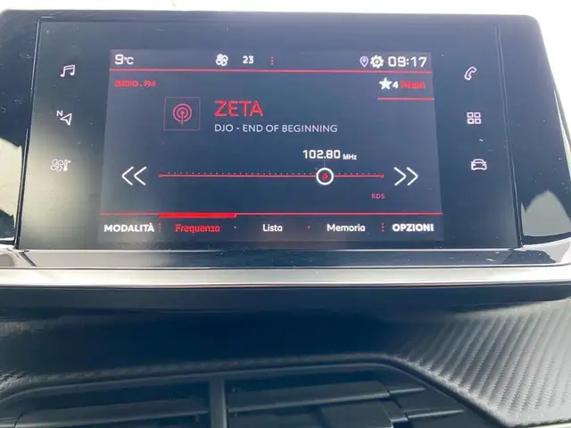 Peugeot 2008 view 10