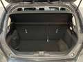 Ford Fiesta 1.0 Ecoboost Hybrid 125 CV 5 porte Titanium Grigio - thumbnail 15