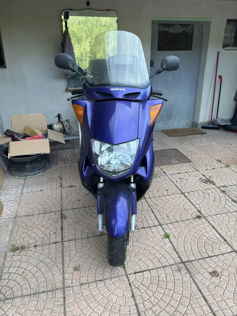 Honda Forza 250 FORESIGHT  honda 250 non forza - 2