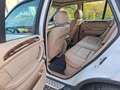 BMW X5 E53 - thumbnail 9
