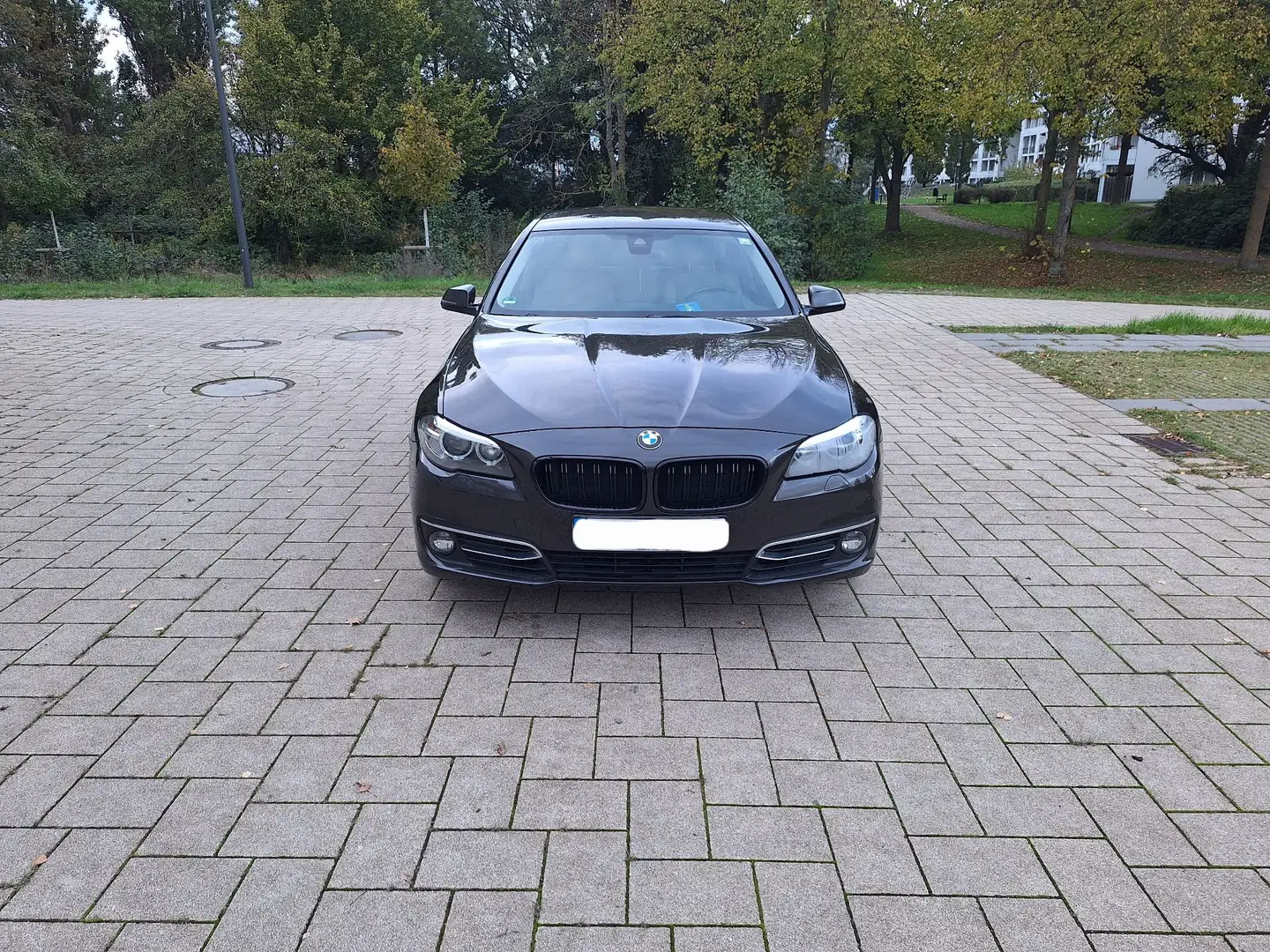 BMW 530 530d xDrive Aut. Luxury Line - 1