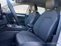 SEAT Leon 1.5 TSI LED/Sitz.-Lenkradhzg./Kamera/Navi Weiß - thumbnail 10