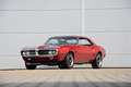 Pontiac Firebird 400 | Volledig gerestaureerd | Rot - thumbnail 39
