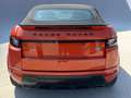 Land Rover Range Rover Evoque Arancione - thumbnail 7