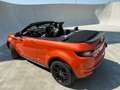Land Rover Range Rover Evoque Arancione - thumbnail 6