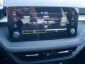 Skoda Fabia 1.0l TSI"Drive Plus"5JahreGarantie+LED+App Gri - thumbnail 20