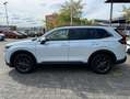 Honda CR-V e:HEV Elegance AWD|AHK|Leder|Pano Blanc - thumbnail 6