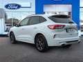 Ford Kuga 2.5 Duratec PHEV ST-Line X 4x2 Blanco - thumbnail 6