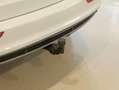 Audi Q5 2.0TDI quattro S Line Ed. S-T 177 Blanco - thumbnail 30