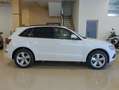 Audi Q5 2.0TDI quattro S Line Ed. S-T 177 Blanco - thumbnail 6