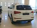 Audi Q5 2.0TDI quattro S Line Ed. S-T 177 Blanco - thumbnail 28