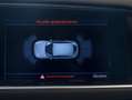 Audi Q5 2.0TDI quattro S Line Ed. S-T 177 Blanco - thumbnail 17