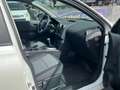 Nissan Qashqai+2 Qashqai Visia/Klima/Temp./ZV/Eu5/TÜV NEU/2Ha/ Bianco - thumbnail 13